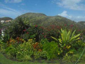 Destination Caribbean