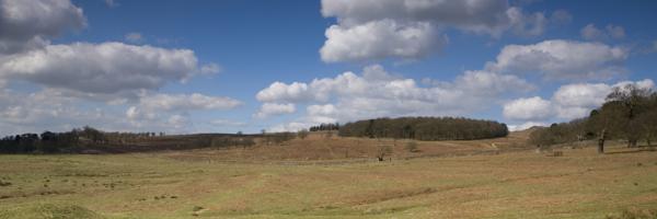Loughborough, Leicestershire Hotels