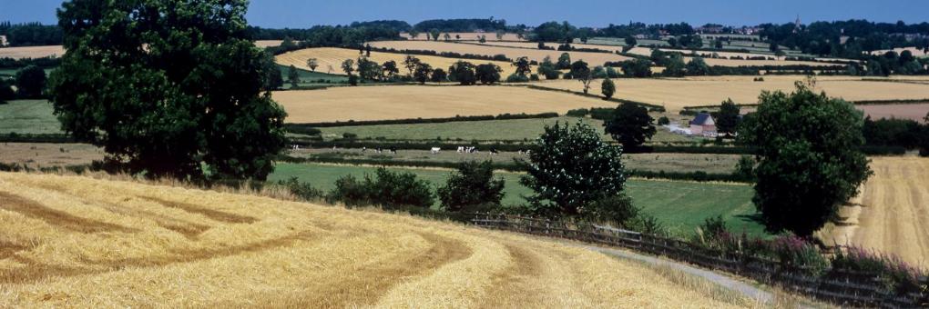 Market Bosworth, Leicestershire Hotels