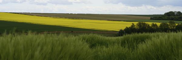 Lincolnshire, England