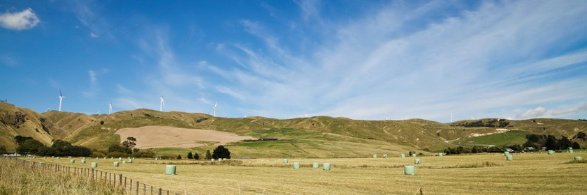 Palmerston North, New Zealand Hotels