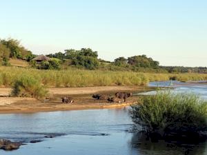 Mpumalanga Hotels & Accommodation