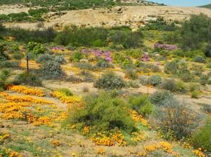 Northern Cape Hotels & Accommodation