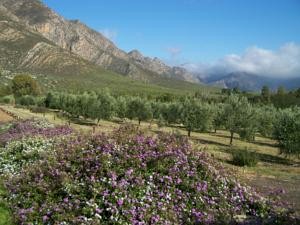 Breede River Valley Hotels, South Africa