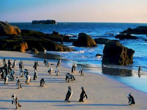 False Bay Hotels, South Africa