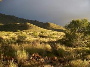 Groot Karoo Hotels, South Africa