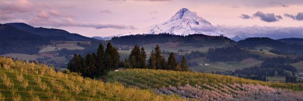 Oregon, USA Hotels